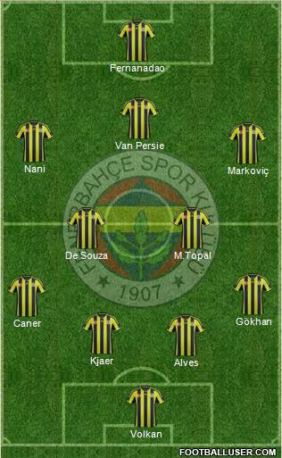 Fenerbahçe SK Formation 2015