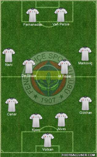 Fenerbahçe SK Formation 2015