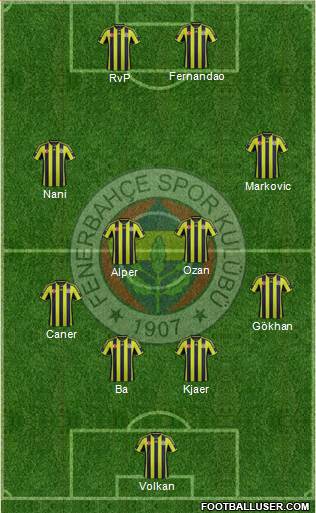 Fenerbahçe SK Formation 2015