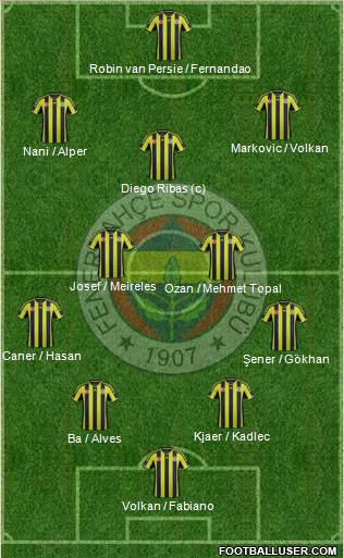 Fenerbahçe SK Formation 2015
