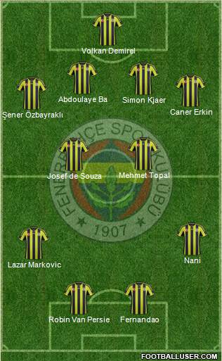 Fenerbahçe SK Formation 2015