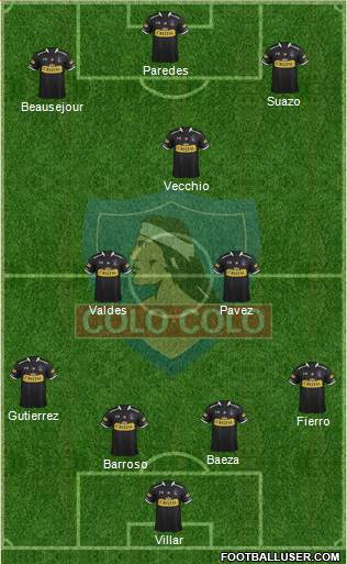 CSD Colo Colo Formation 2015