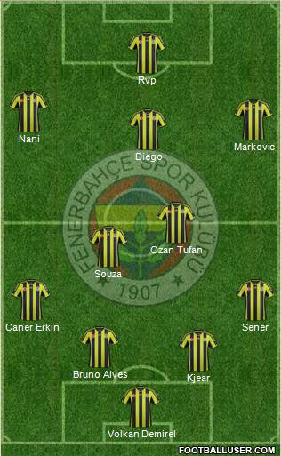 Fenerbahçe SK Formation 2015