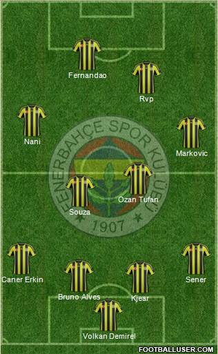 Fenerbahçe SK Formation 2015