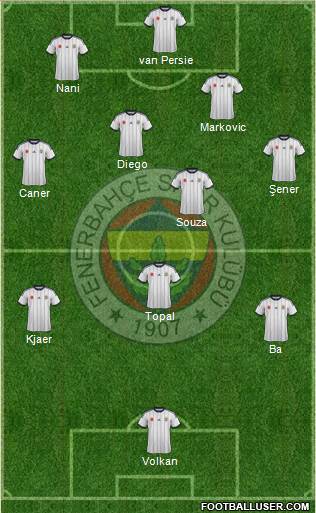 Fenerbahçe SK Formation 2015