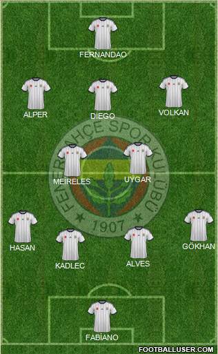 Fenerbahçe SK Formation 2015