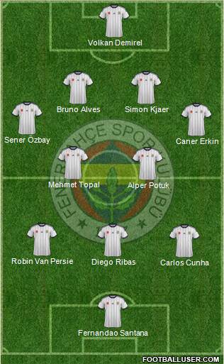 Fenerbahçe SK Formation 2015