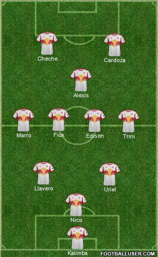New York Red Bulls Formation 2015