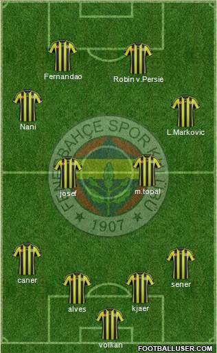 Fenerbahçe SK Formation 2015