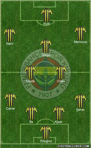Fenerbahçe SK Formation 2015