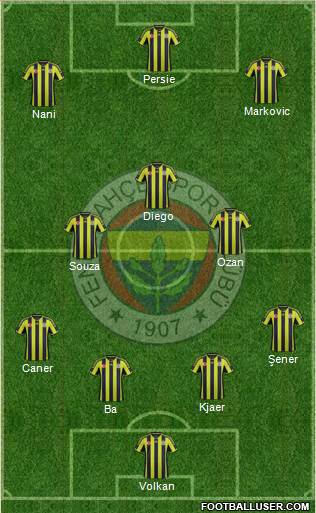 Fenerbahçe SK Formation 2015