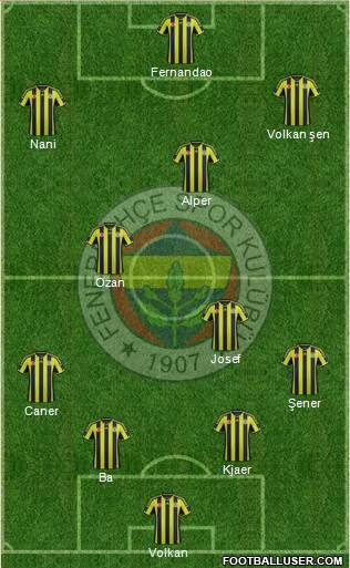 Fenerbahçe SK Formation 2015