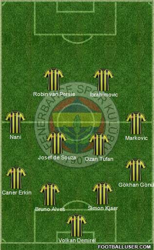 Fenerbahçe SK Formation 2015