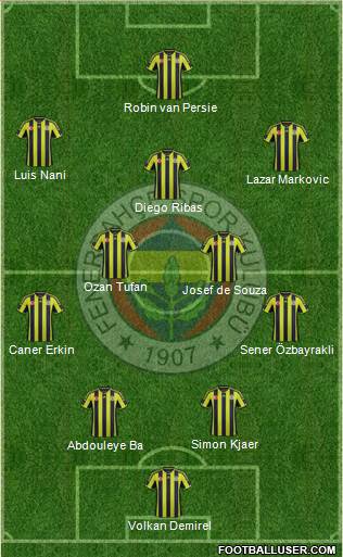 Fenerbahçe SK Formation 2015