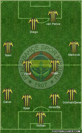Fenerbahçe SK Formation 2015