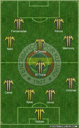 Fenerbahçe SK Formation 2015