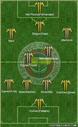Fenerbahçe SK Formation 2015