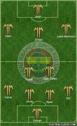 Fenerbahçe SK Formation 2015