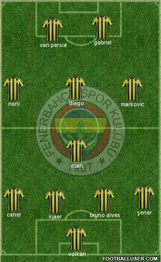 Fenerbahçe SK Formation 2015