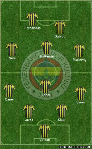 Fenerbahçe SK Formation 2015