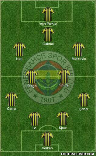 Fenerbahçe SK Formation 2015