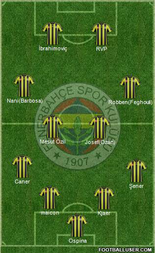 Fenerbahçe SK Formation 2015