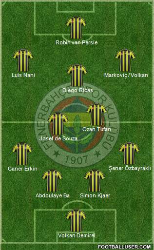 Fenerbahçe SK Formation 2015