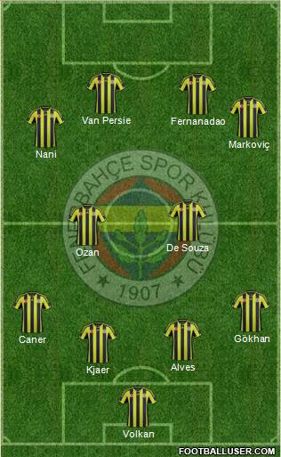 Fenerbahçe SK Formation 2015
