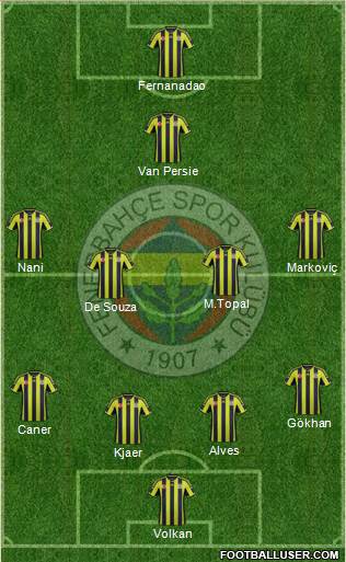 Fenerbahçe SK Formation 2015
