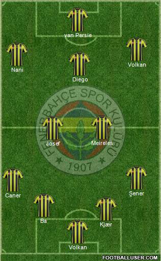 Fenerbahçe SK Formation 2015