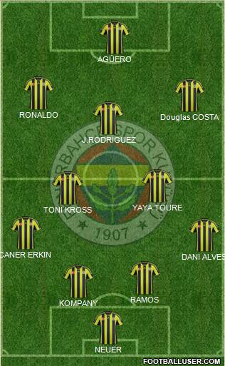 Fenerbahçe SK Formation 2015