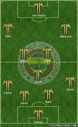 Fenerbahçe SK Formation 2015