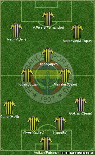 Fenerbahçe SK Formation 2015