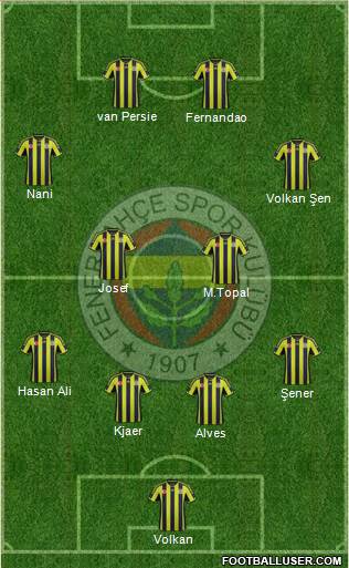 Fenerbahçe SK Formation 2015