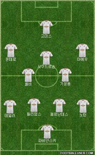 Swansea City Formation 2015