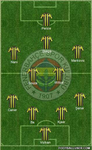 Fenerbahçe SK Formation 2015
