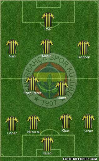 Fenerbahçe SK Formation 2015