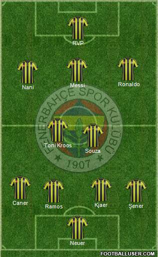 Fenerbahçe SK Formation 2015