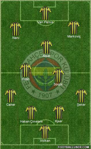 Fenerbahçe SK Formation 2015