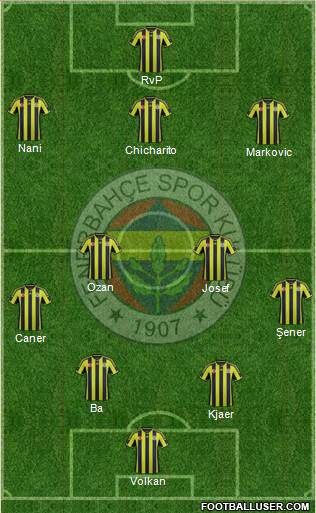 Fenerbahçe SK Formation 2015