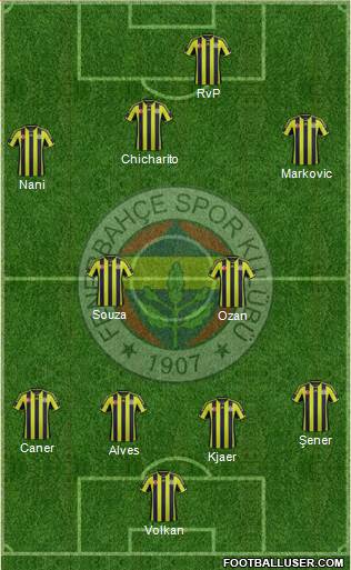 Fenerbahçe SK Formation 2015