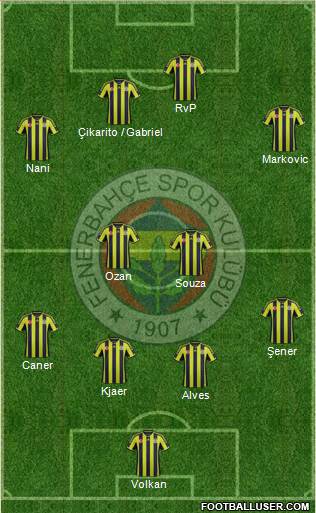 Fenerbahçe SK Formation 2015