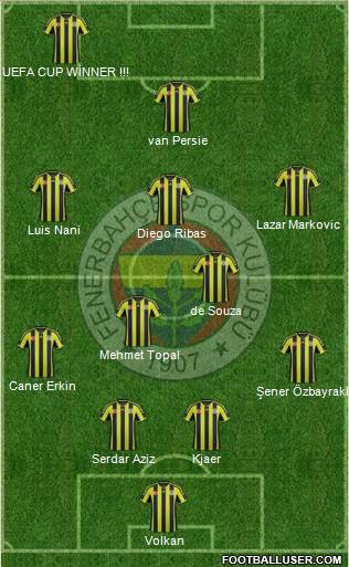 Fenerbahçe SK Formation 2015