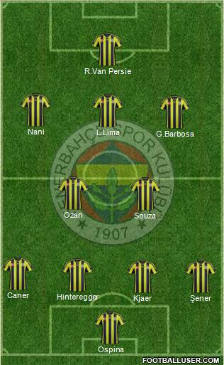 Fenerbahçe SK Formation 2015