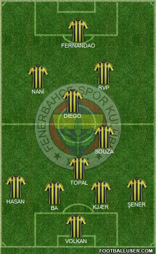 Fenerbahçe SK Formation 2015
