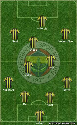 Fenerbahçe SK Formation 2015