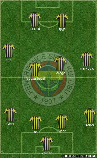 Fenerbahçe SK Formation 2015