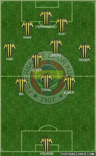 Fenerbahçe SK Formation 2015