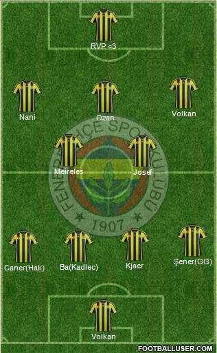 Fenerbahçe SK Formation 2015