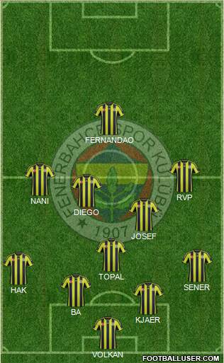Fenerbahçe SK Formation 2015